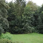 Exklusive Am Wald Mit Garten, Waldzugang Und Sauna 빌라 졸링겐