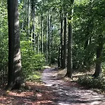 Exklusive Am Wald Mit Garten, Waldzugang Und Sauna ゾーリンゲン
