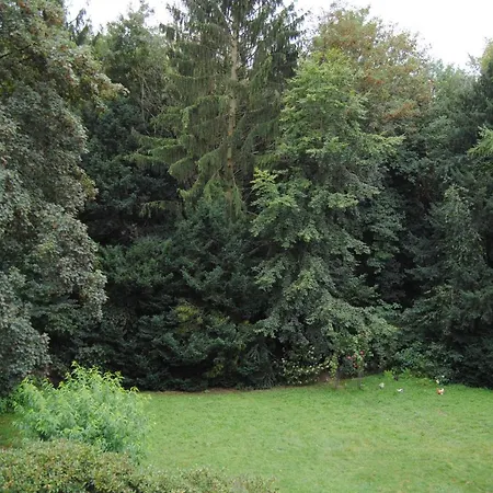 Exklusive Am Wald Mit Garten, Waldzugang Und Sauna Willa Solingen