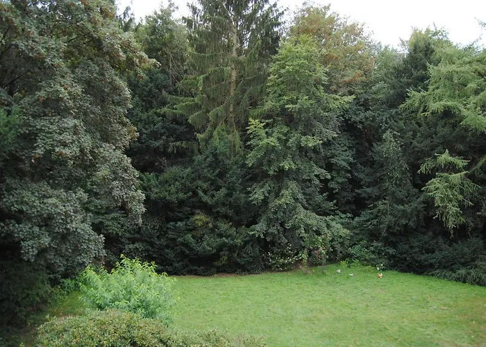 Exklusive Am Wald Mit Garten, Waldzugang Und Sauna Villa Solingen