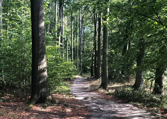 Exklusive Am Wald Mit Garten, Waldzugang Und Sauna Solingen
