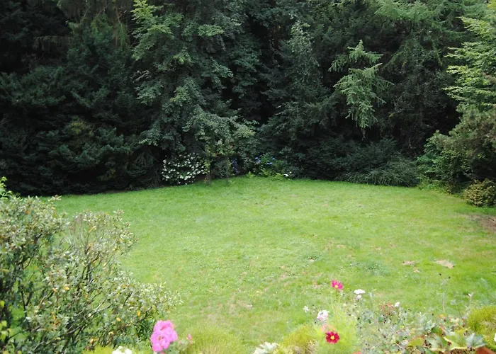 Exklusive Am Wald Mit Garten, Waldzugang Und Sauna 빌라 졸링겐